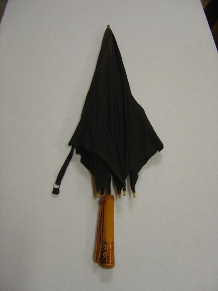 Umbrella