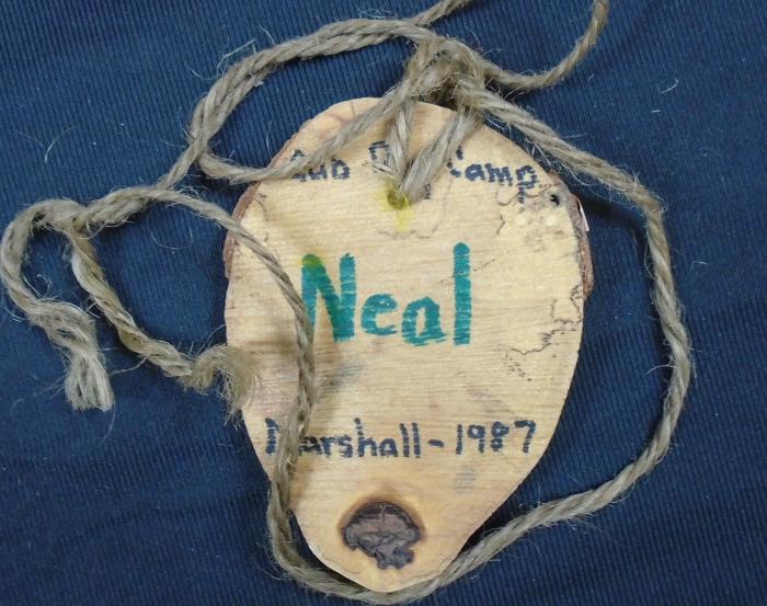 Cub Day Camp Pendant