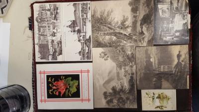 Hannah Reynolds' Scrapbook