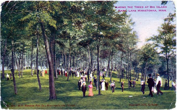Among the Trees at Big Island Park, Lake Minnetonka, Minn.  No. 634