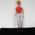 [Barbie Coll Case and Doll
