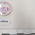 Pinback Button, "Mound City Days", 1997