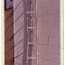 Photograph of City Hall, June 1975 