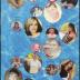 Minnewaska Area High School 2008 yearbook