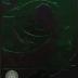 Minnewaska Area High School 2009 yearbook