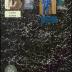 Minnewaska Area High School 2011 yearbook