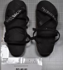 Ho chi Minh sandals