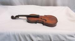 Violin