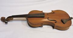 Violin