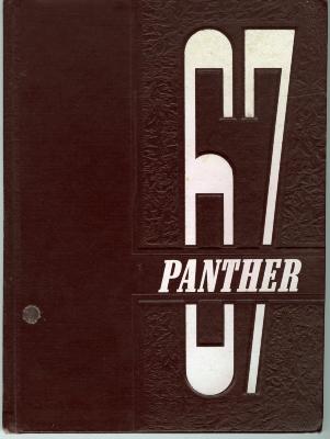 67 Panther