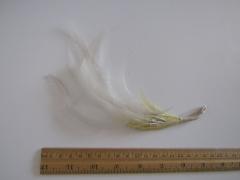 Feather Headpiece
