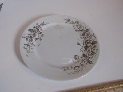 Dinner Plate