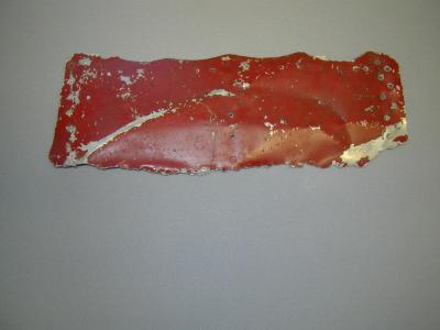 Japanese wing fragment