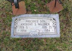 Waldack, Anthony Scott.jpg