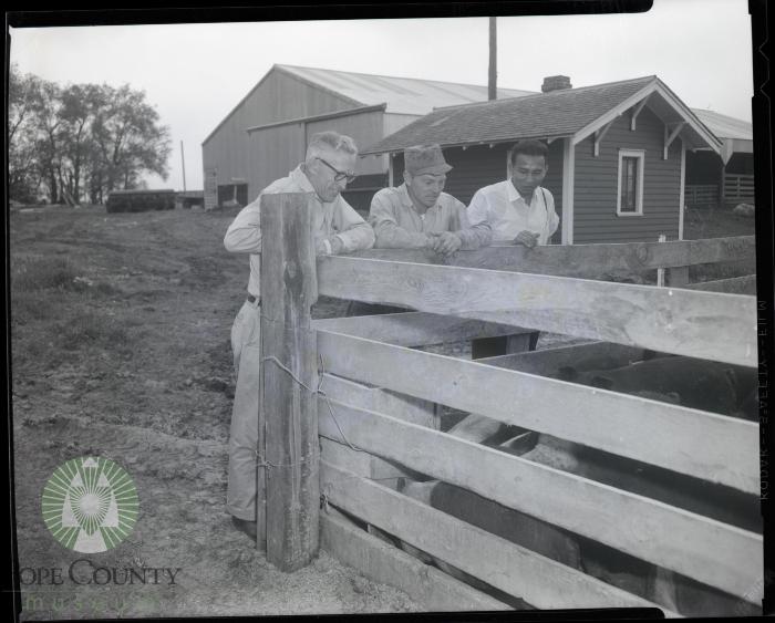 Farmers Discuss Hog Farming, Glenwood Minnesota 