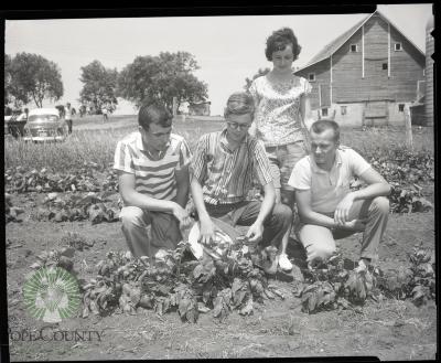 Livewires 4-H Club, Villard Minnesota 