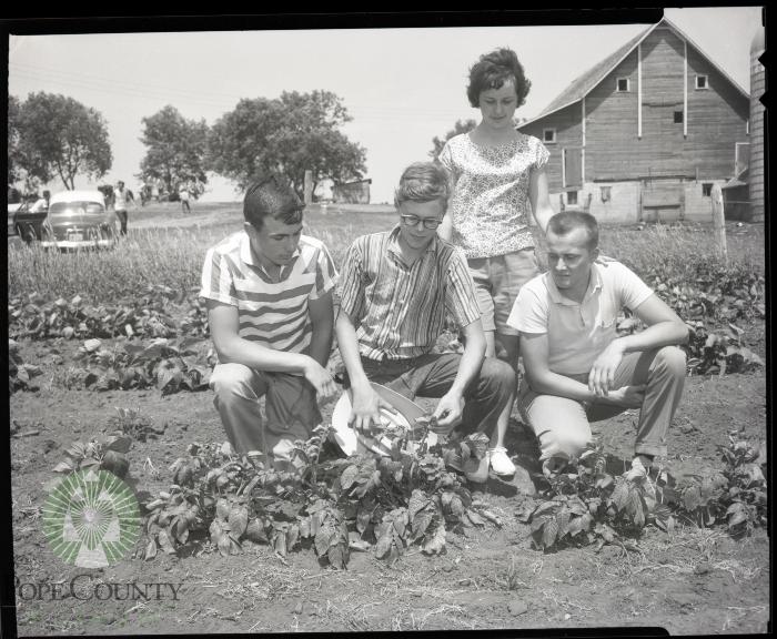 Livewires 4-H Club, Villard Minnesota 