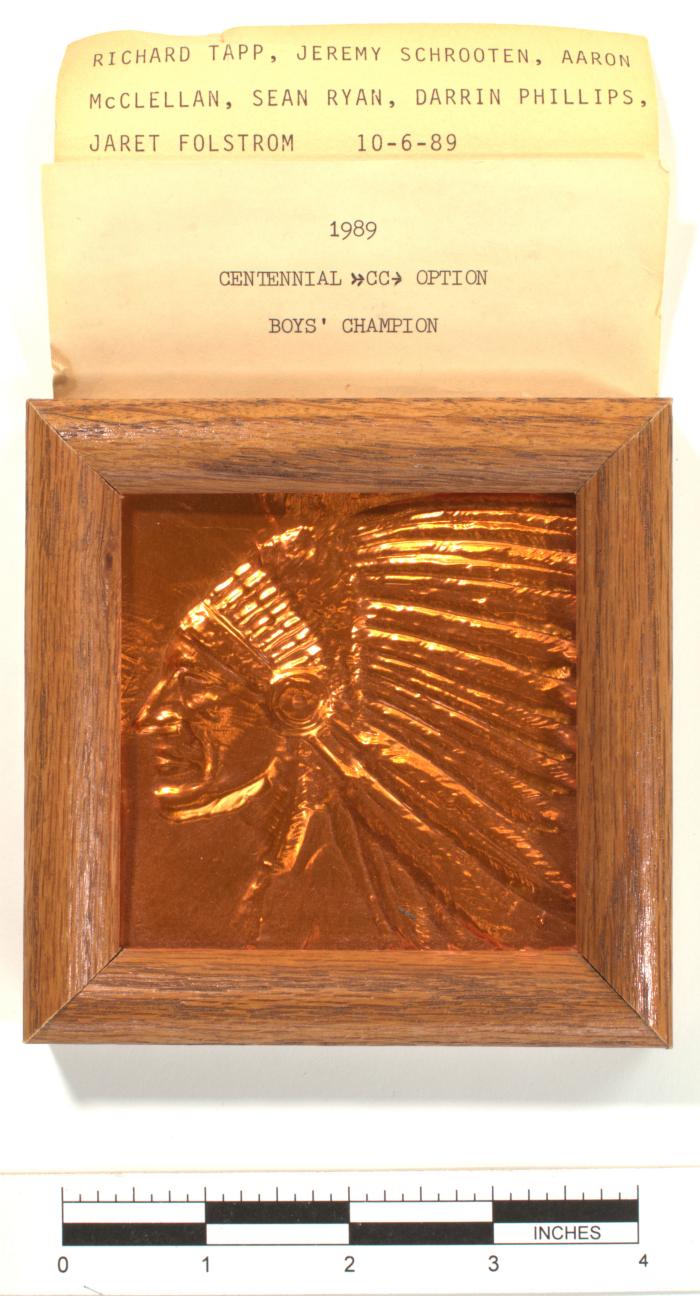 Plaque