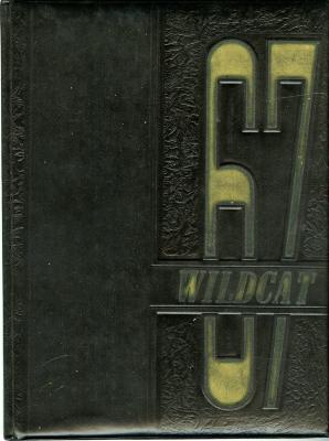 67 WILDCAT