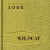 1965 WILDCAT 