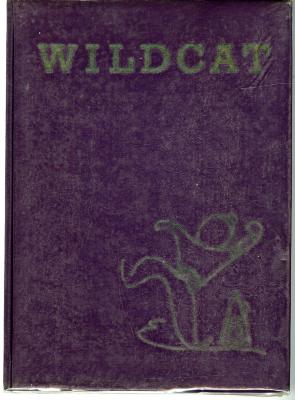 Wildcat 55