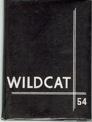 Wildcat 54