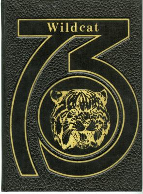 Wildcat 73