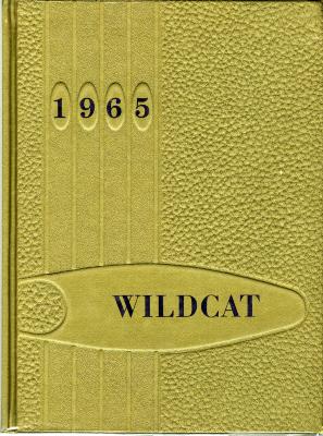 1965 WILDCAT 