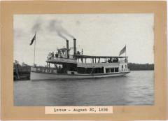 Steamboat Lotus