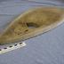 Viking ironing board