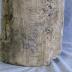 Petrified Wood