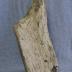 Petrified Wood