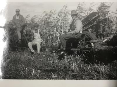 Black-and-White Photograph