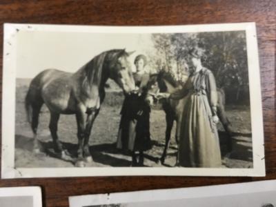 Black-and-White Photograph