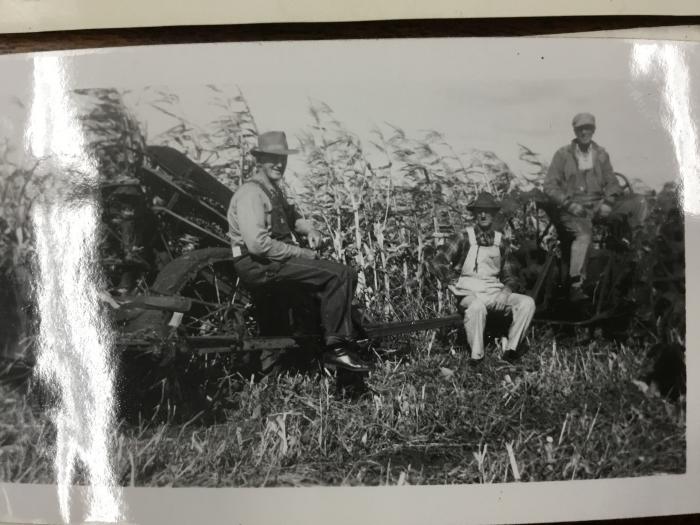 Black-and-White Photograph