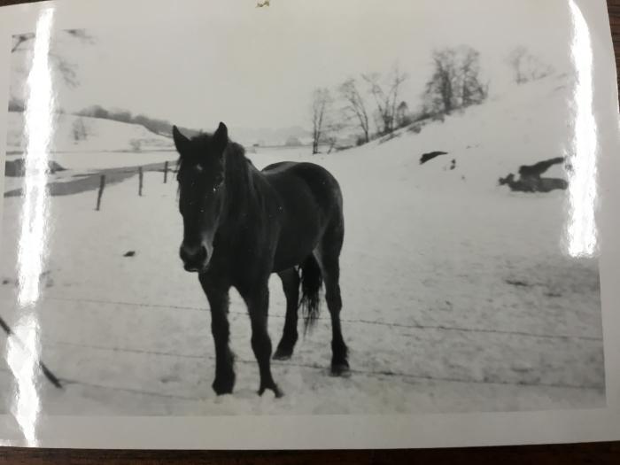 Black-and-White Photograph