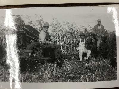 Black-and-White Photograph