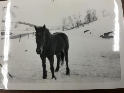Black-and-White Photograph
