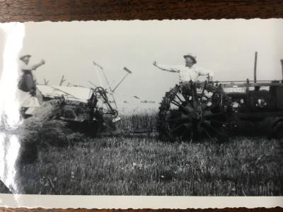 Black-and-White Photograph