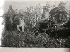 Black-and-White Photograph