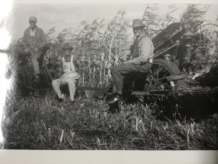 Black-and-White Photograph
