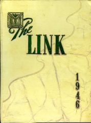 The Link