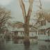 Photograph, Color