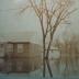 Photograph, Color