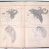 Rathbun Ledger