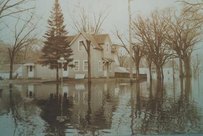 Photograph, Color