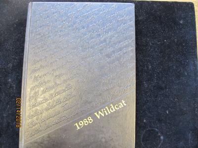1988 Wildcat