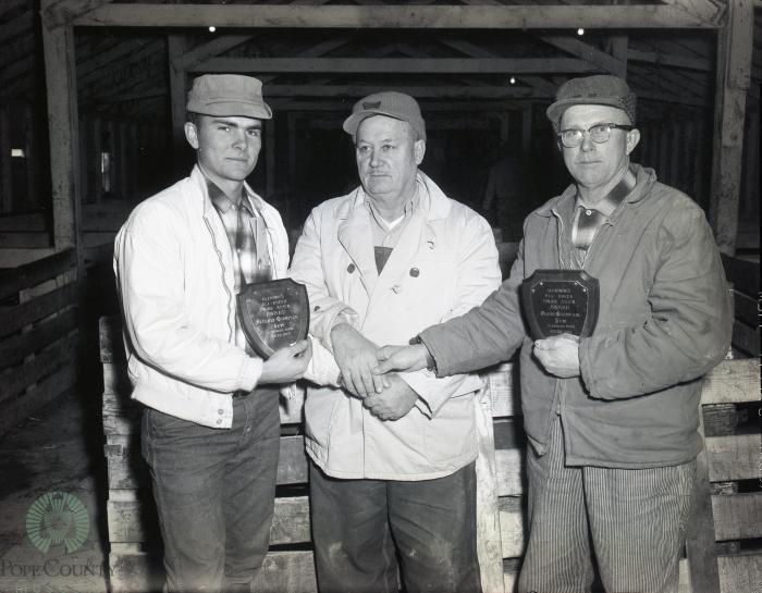 Glenwood All Breed Swine Association Show, Glenwood, Minnesota 