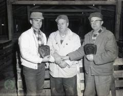Glenwood All Breed Swine Association Show, Glenwood, Minnesota 