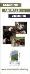 Amazing Animals of the Zumbro
